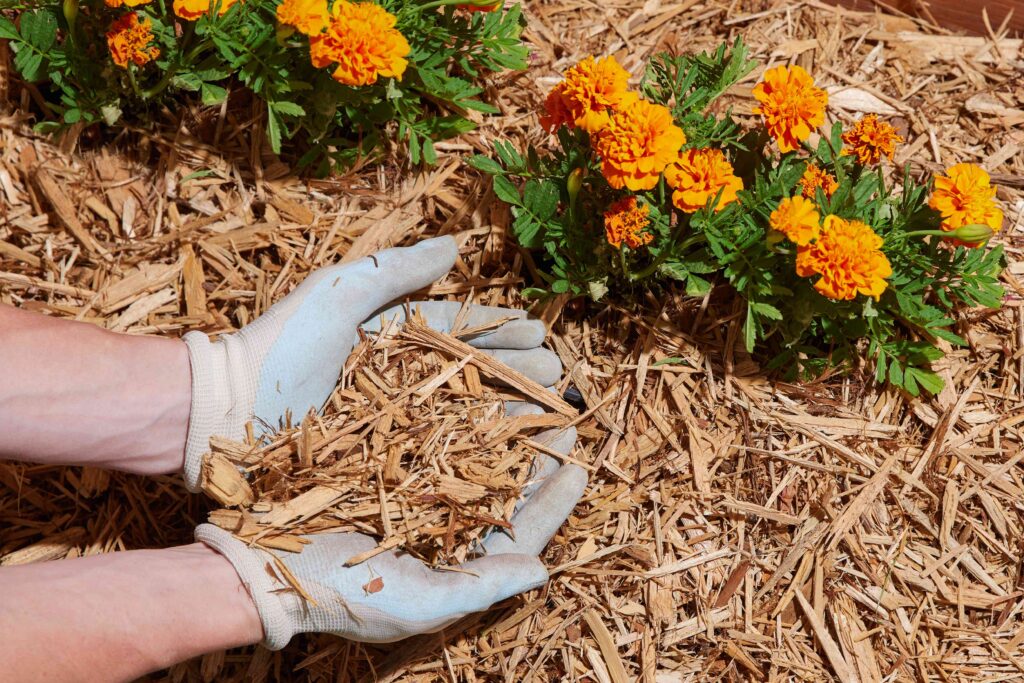 Mulch San Diego